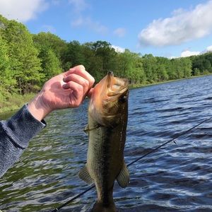 Meet your Posher, Owen